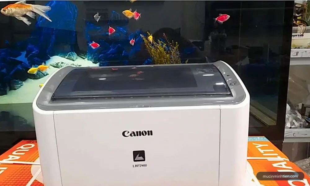 Máy in Canon LBP2900