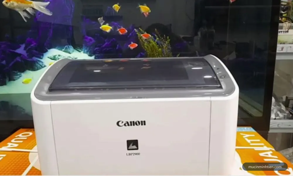 Máy in Canon LBP2900
