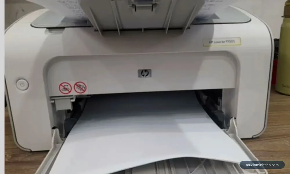 Máy in HP LaserJet P1005