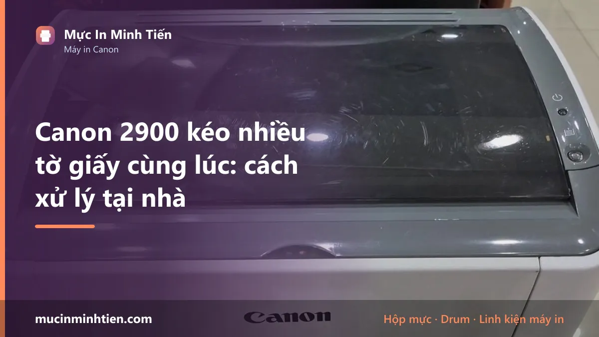 Canon 2900 kéo nhiều tờ giấy cùng lúc: cách xử lý tại nhà