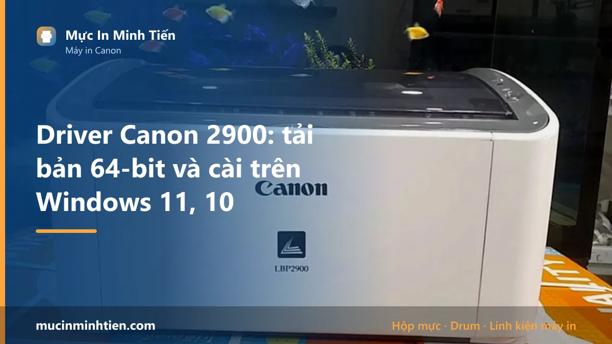 Driver Canon 2900: tải bản 64-bit và cài trên Windows 11, 10